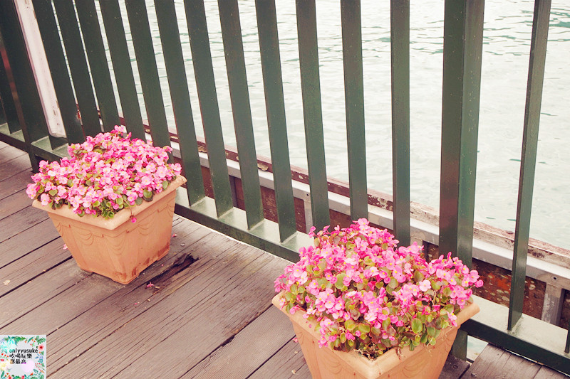 (國內旅遊南投)【日月潭一日遊】許久沒來,度假風情依然滿滿