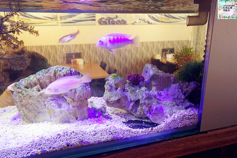 FoOd【千夜一夜干丼飯】桃園丼飯一夜干專門店,必吃的丼飯和一夜干,必喝超特別鹽麴魚片湯