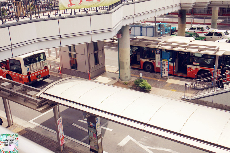 國外旅遊【日本東京自助行DAY2】小江戶川越-喜多院-氷川神社一釣雙雕-復古溫情街道