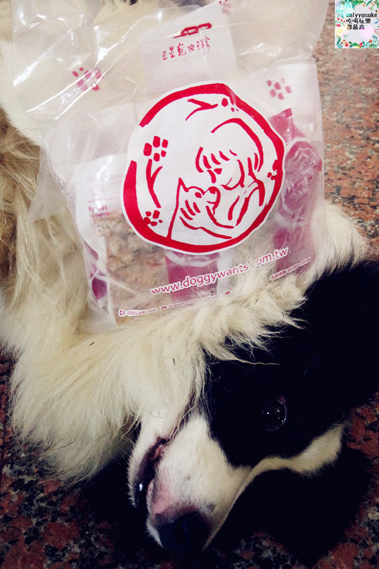 (寵物)【汪事如意五星寵物鮮食】超讚的類主人五星鮮食料理,端午限定,毛寶貝粽子初體驗