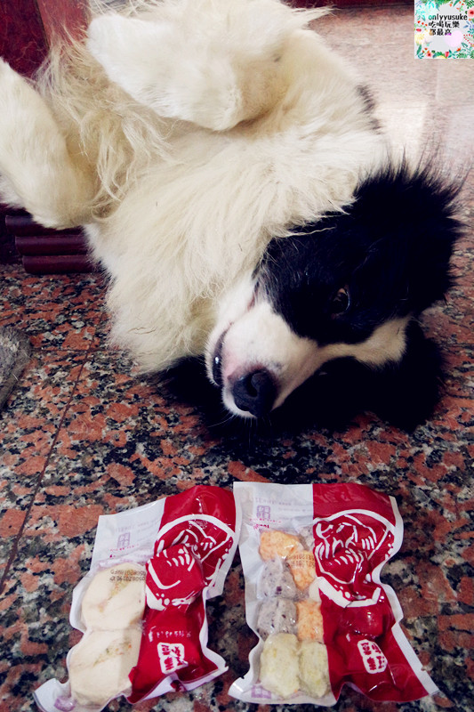 (寵物)【汪事如意五星寵物鮮食】超讚的類主人五星鮮食料理,端午限定,毛寶貝粽子初體驗