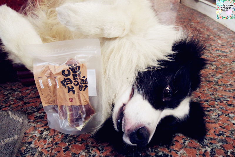 (寵物)【汪事如意五星寵物鮮食】超讚的類主人五星鮮食料理,端午限定,毛寶貝粽子初體驗