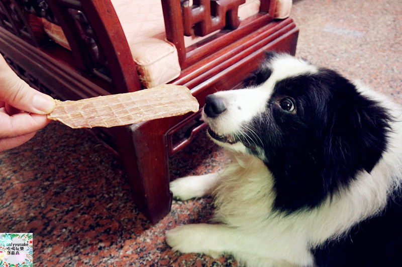 (寵物)【汪事如意五星寵物鮮食】超讚的類主人五星鮮食料理,端午限定,毛寶貝粽子初體驗