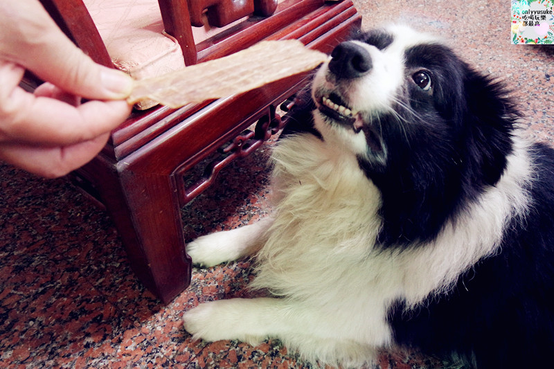 (寵物)【汪事如意五星寵物鮮食】超讚的類主人五星鮮食料理,端午限定,毛寶貝粽子初體驗