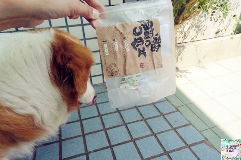 (寵物)【汪事如意五星寵物鮮食】超讚的類主人五星鮮食料理,端午限定,毛寶貝粽子初體驗