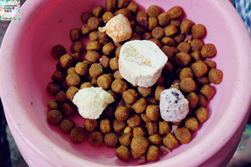 (寵物)【汪事如意五星寵物鮮食】超讚的類主人五星鮮食料理,端午限定,毛寶貝粽子初體驗