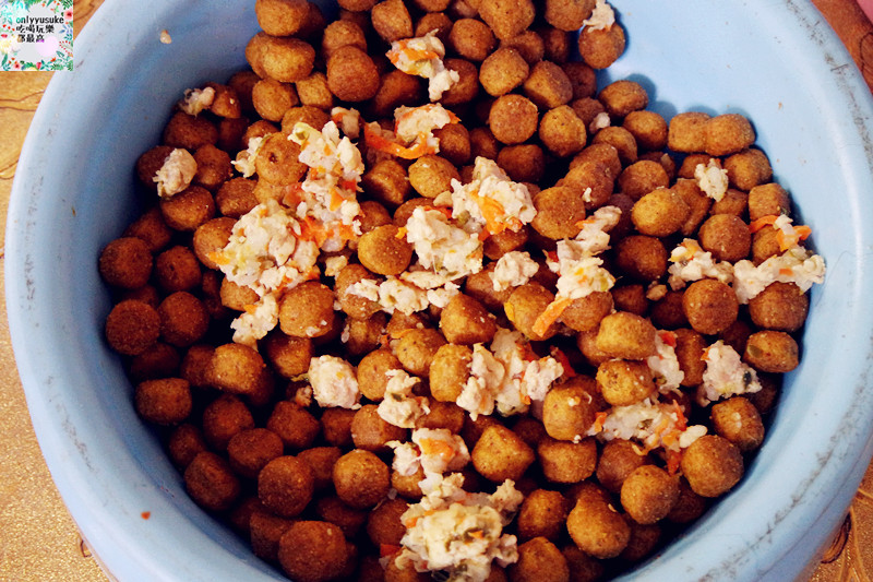 (寵物)【汪事如意五星寵物鮮食】超讚的類主人五星鮮食料理,端午限定,毛寶貝粽子初體驗