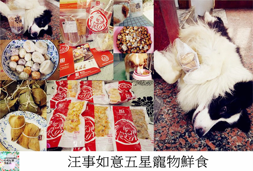 (寵物)【汪事如意五星寵物鮮食】超讚的類主人五星鮮食料理,端午限定,毛寶貝粽子初體驗