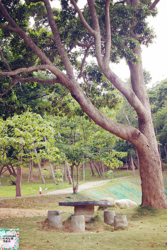 國內遊記看圖說話.苗栗台灣影城媽祖村（原貓貍影城）苗栗一日遊,必吃必玩親子景點
