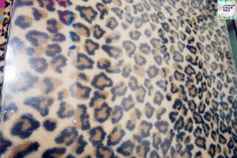 【SPARTAN斯巴達安心守護萬用消毒噴霧】美國環保清潔,航空飯店公司指定