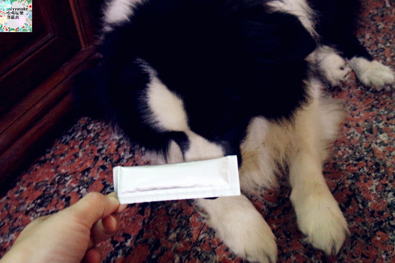 (寵物)【CheriWAN鮮愛汪】讓毛小孩吃了還想再吃的犬用整腸乳酸菌果凍條