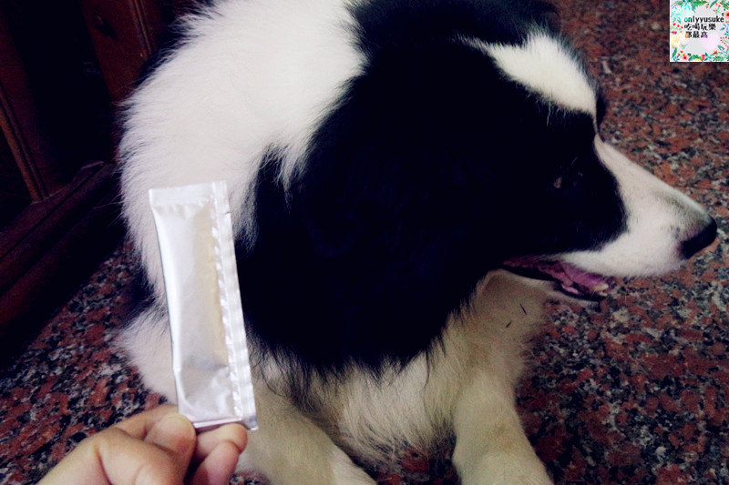 (寵物)【CheriWAN鮮愛汪】讓毛小孩吃了還想再吃的犬用整腸乳酸菌果凍條