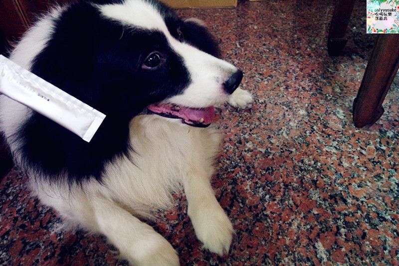 (寵物)【CheriWAN鮮愛汪】讓毛小孩吃了還想再吃的犬用整腸乳酸菌果凍條