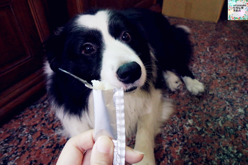 (寵物)【CheriWAN鮮愛汪】讓毛小孩吃了還想再吃的犬用整腸乳酸菌果凍條