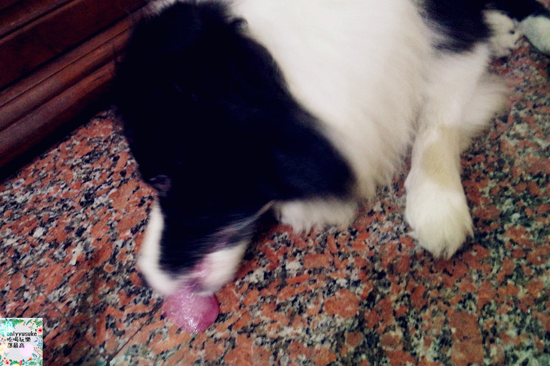 (寵物)【CheriWAN鮮愛汪】讓毛小孩吃了還想再吃的犬用整腸乳酸菌果凍條