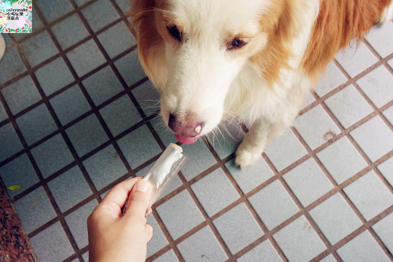 (寵物)【CheriWAN鮮愛汪】讓毛小孩吃了還想再吃的犬用整腸乳酸菌果凍條
