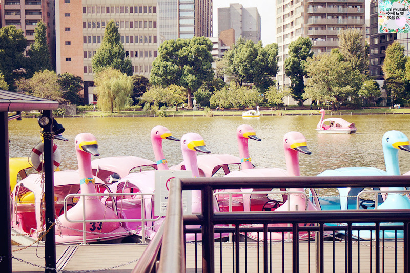 【上野】日本DAY2上野恩賜公園,阿美橫丁,百果園,激安殿堂,不忍池,六本木