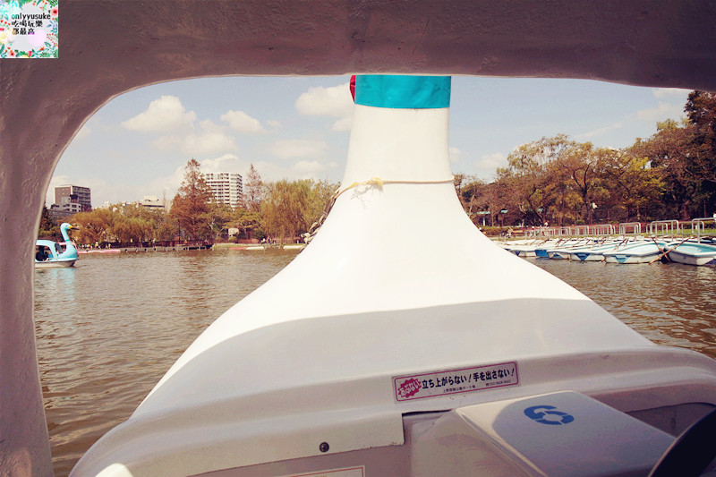 【上野】日本DAY2上野恩賜公園,阿美橫丁,百果園,激安殿堂,不忍池,六本木