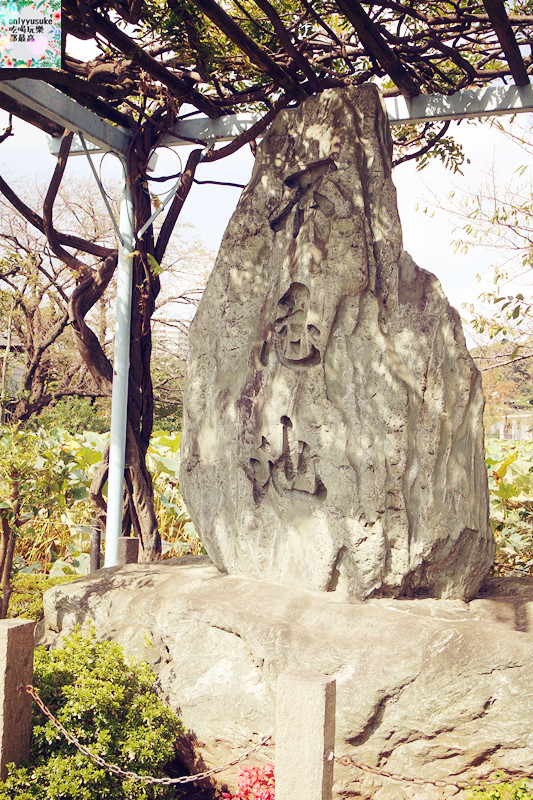 【上野】日本DAY2上野恩賜公園,阿美橫丁,百果園,激安殿堂,不忍池,六本木