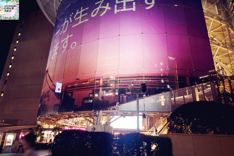 【上野】日本DAY2上野恩賜公園,阿美橫丁,百果園,激安殿堂,不忍池,六本木