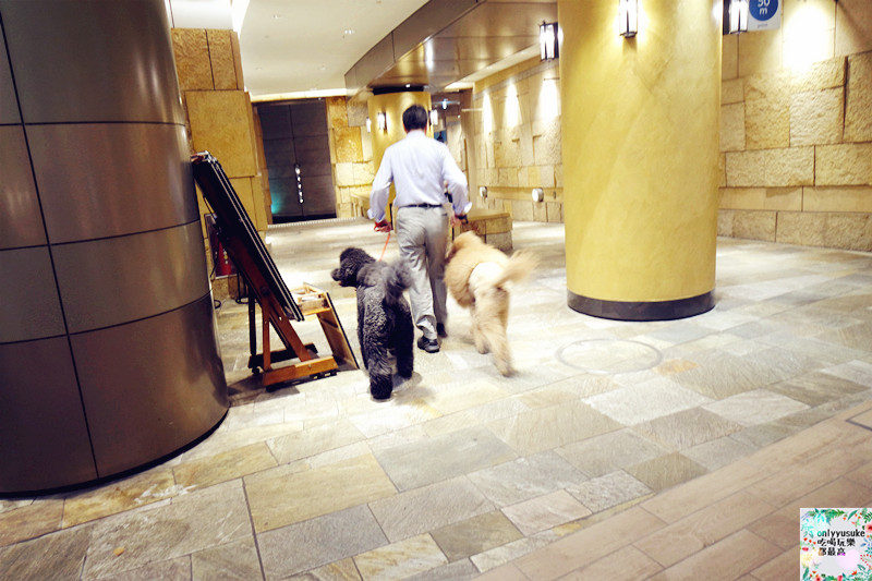 【上野】日本DAY2上野恩賜公園,阿美橫丁,百果園,激安殿堂,不忍池,六本木