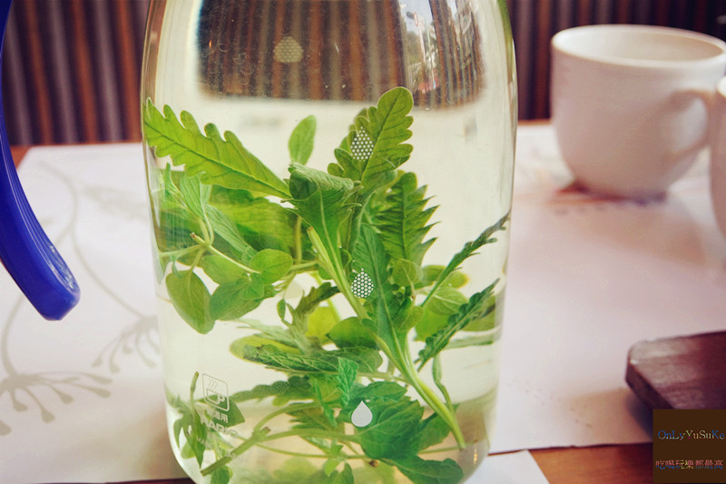 台北【蒔蘿香草蔬食天母店 】素食也有不同風貌,多樣化蔬食餐