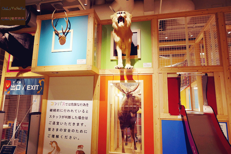 國外旅遊【上野國立科學博物館】來上野到這玩準沒錯,一個學習新知很好放電的地方