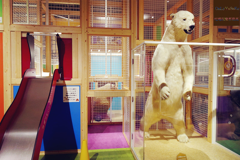 國外旅遊【上野國立科學博物館】來上野到這玩準沒錯,一個學習新知很好放電的地方