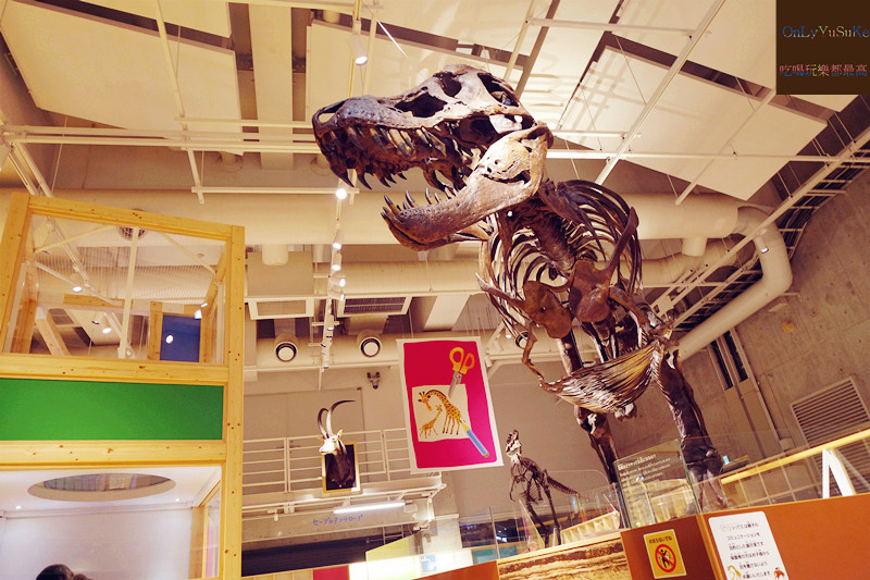 國外旅遊【上野國立科學博物館】來上野到這玩準沒錯,一個學習新知很好放電的地方