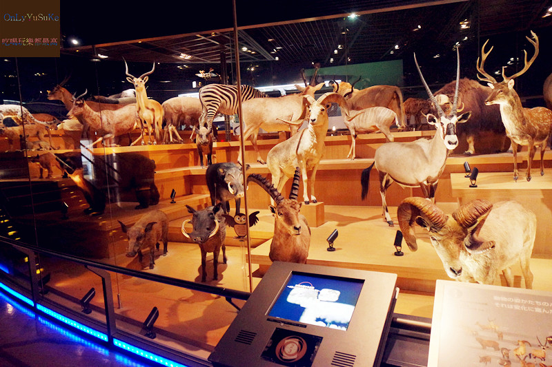 國外旅遊【上野國立科學博物館】來上野到這玩準沒錯,一個學習新知很好放電的地方