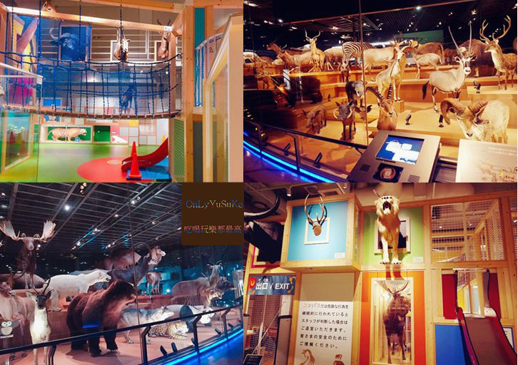 上野國立科學博物館