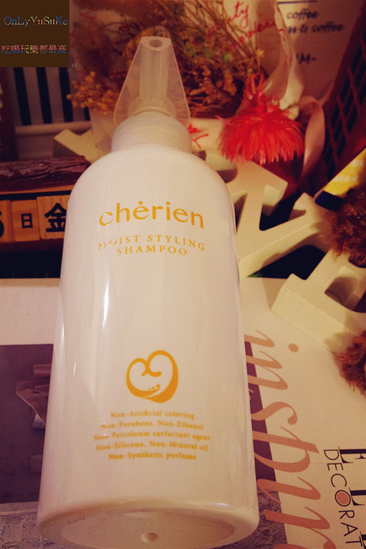 (美髮分享)【日本宣莉恩養護洗潤精華露】髮界中的all in one,洗潤養護一起上