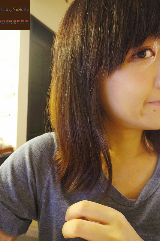 (美髮分享)【日本宣莉恩養護洗潤精華露】髮界中的all in one,洗潤養護一起上