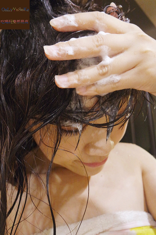 (美髮分享)【日本宣莉恩養護洗潤精華露】髮界中的all in one,洗潤養護一起上