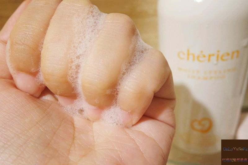 (美髮分享)【日本宣莉恩養護洗潤精華露】髮界中的all in one,洗潤養護一起上