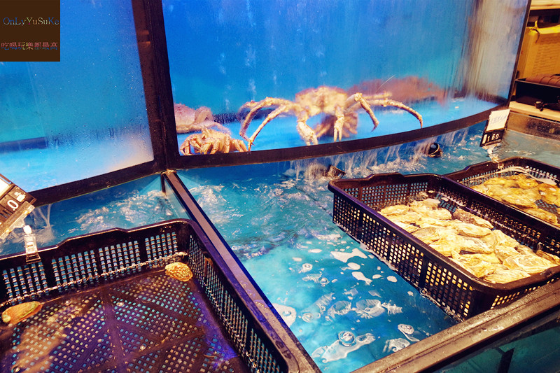 桃園火鍋【土狗樂市家樂福內壢店】自助火鍋超市,新鮮美味一把抓