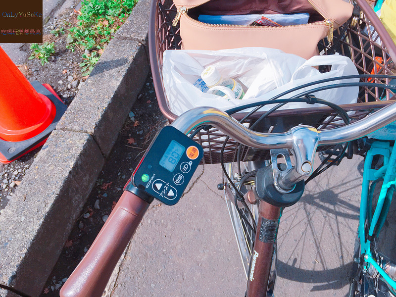 國外旅遊【東京輕井澤一日遊】日本超推渡假勝地,王子購物廣場必吃必買全攻略