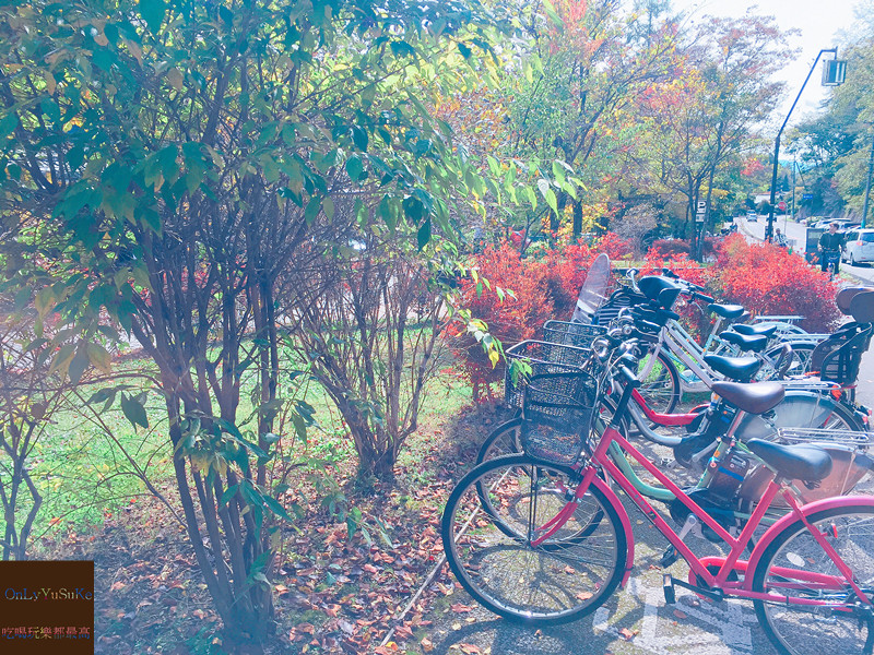 國外旅遊【東京輕井澤一日遊】日本超推渡假勝地,王子購物廣場必吃必買全攻略