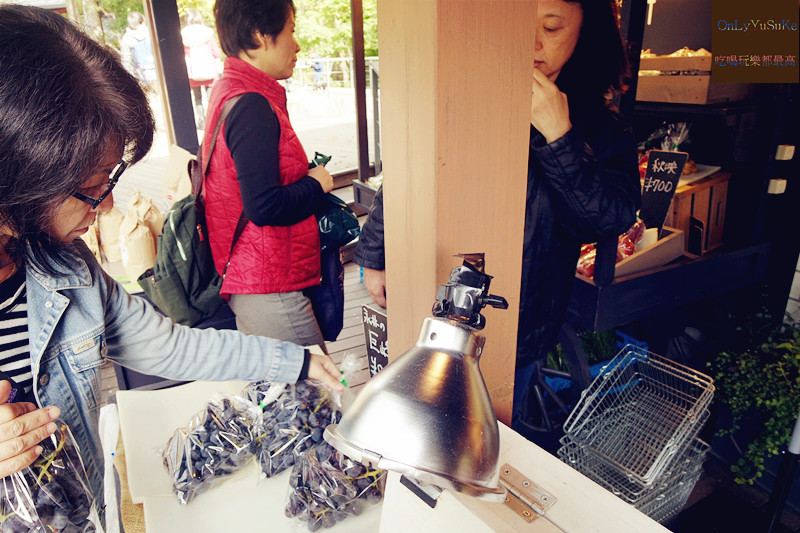 國外旅遊【東京輕井澤一日遊】日本超推渡假勝地,王子購物廣場必吃必買全攻略