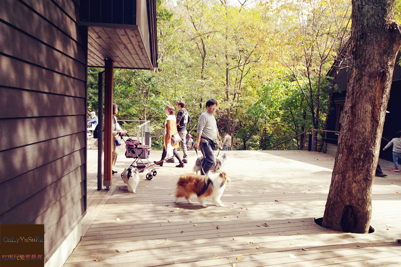 國外旅遊【東京輕井澤一日遊】日本超推渡假勝地,王子購物廣場必吃必買全攻略