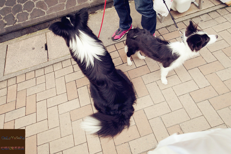 國外旅遊【東京輕井澤一日遊】日本超推渡假勝地,王子購物廣場必吃必買全攻略