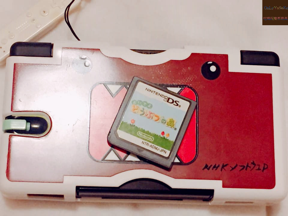 【任天堂動物之森】從nds一路玩到手機版,讓我這資深玩家告訴你超過20個必玩看點,Switch前你該先認識它,動物森友會