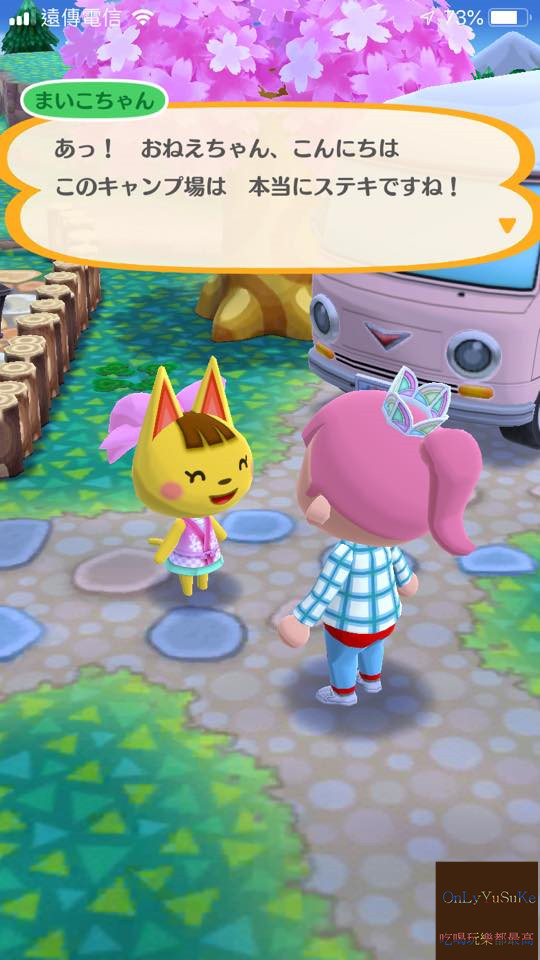 【任天堂動物之森】從nds一路玩到手機版,讓我這資深玩家告訴你超過20個必玩看點,Switch前你該先認識它,動物森友會