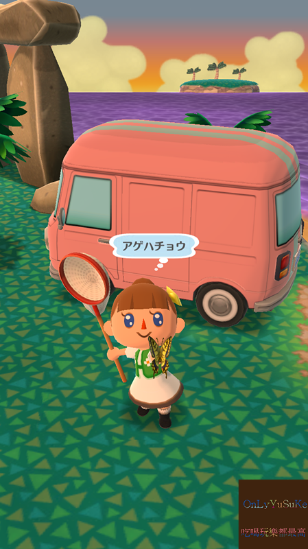 【任天堂動物之森】從nds一路玩到手機版,讓我這資深玩家告訴你超過20個必玩看點,Switch前你該先認識它,動物森友會