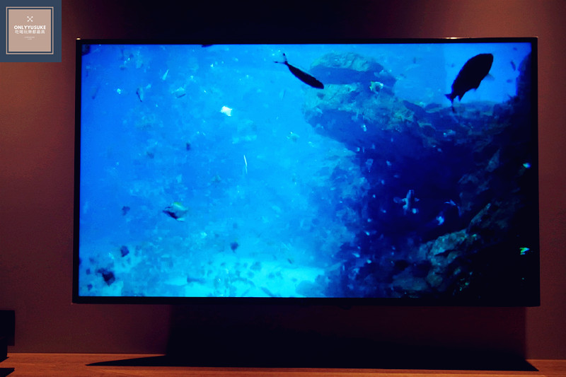 COZZI Blu 和逸飯店客房介紹