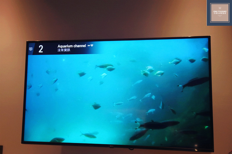 Xpark水族館直播