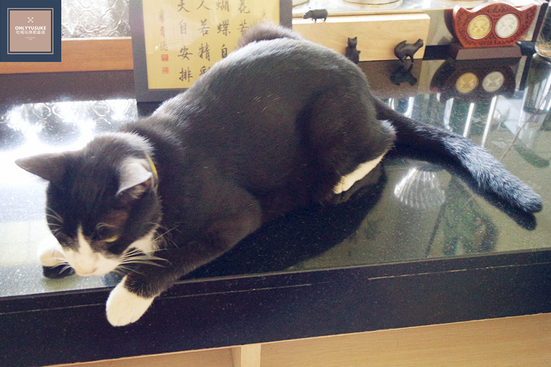 FoOd南投【e92coffee依舊愛咖啡】美好時光依舊在,超美中興新村,省府日常散策,文創風格老屋眷村