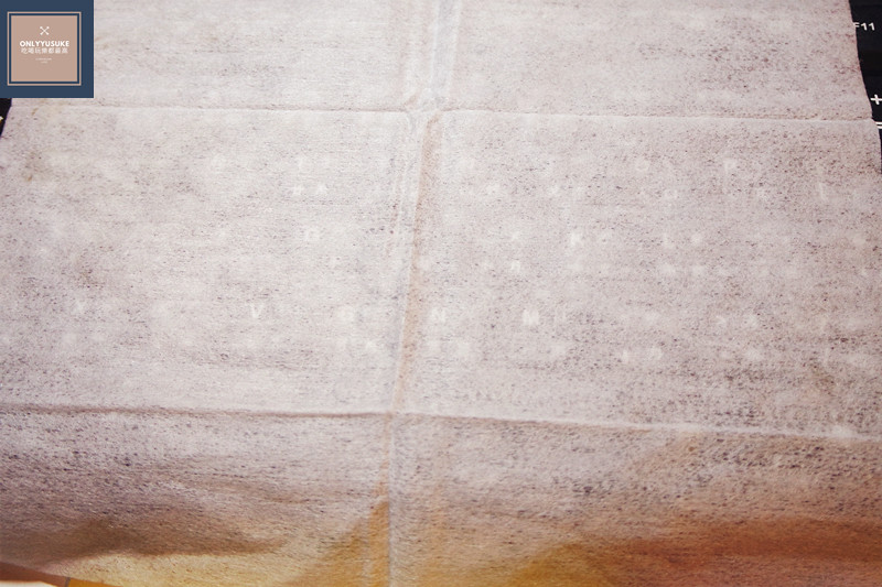 (生活)清潔紙巾推薦【日本製富士 Hydro Ag+持續除菌紙巾】讓清潔除菌變得好輕鬆