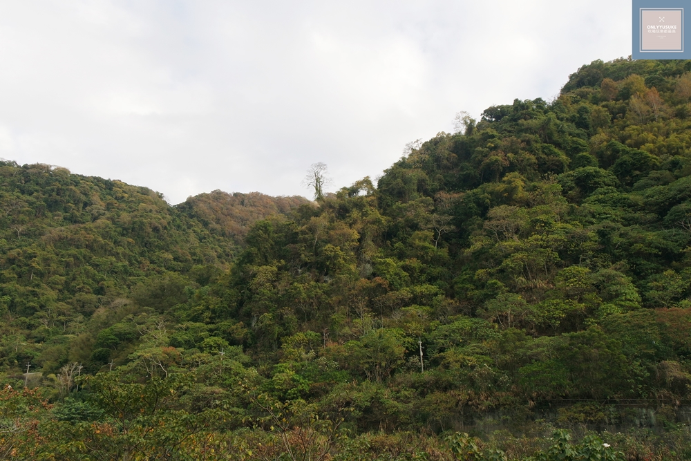 泰安觀止溫泉會館