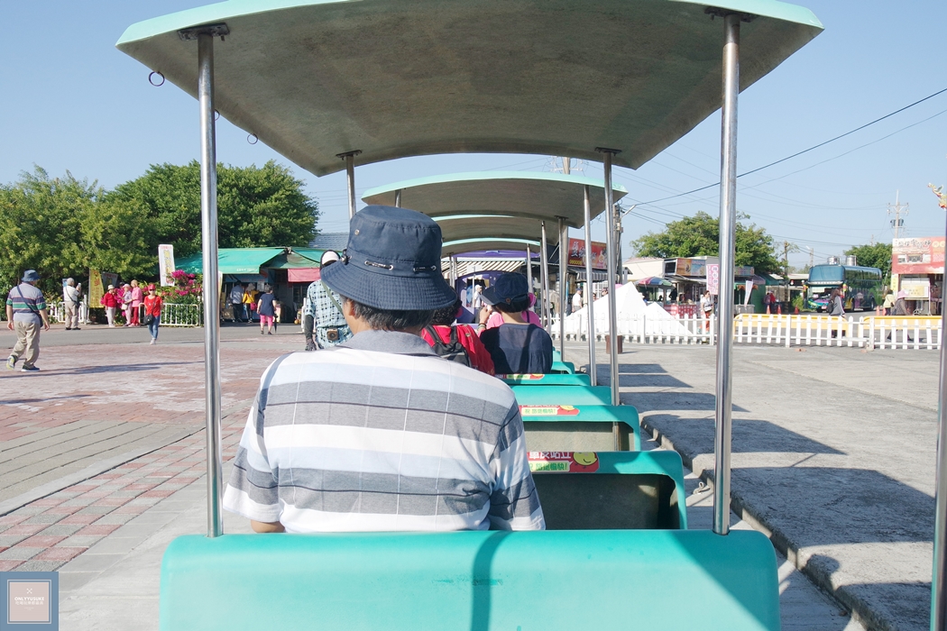 國內旅遊台南北門【井仔腳瓦盤鹽田】賞黑腹燕鷗要這個季節來,超療癒系台南熱門打卡景點